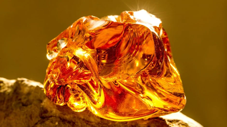 Orange Amber Premium Fragrance Oil, 1 lb