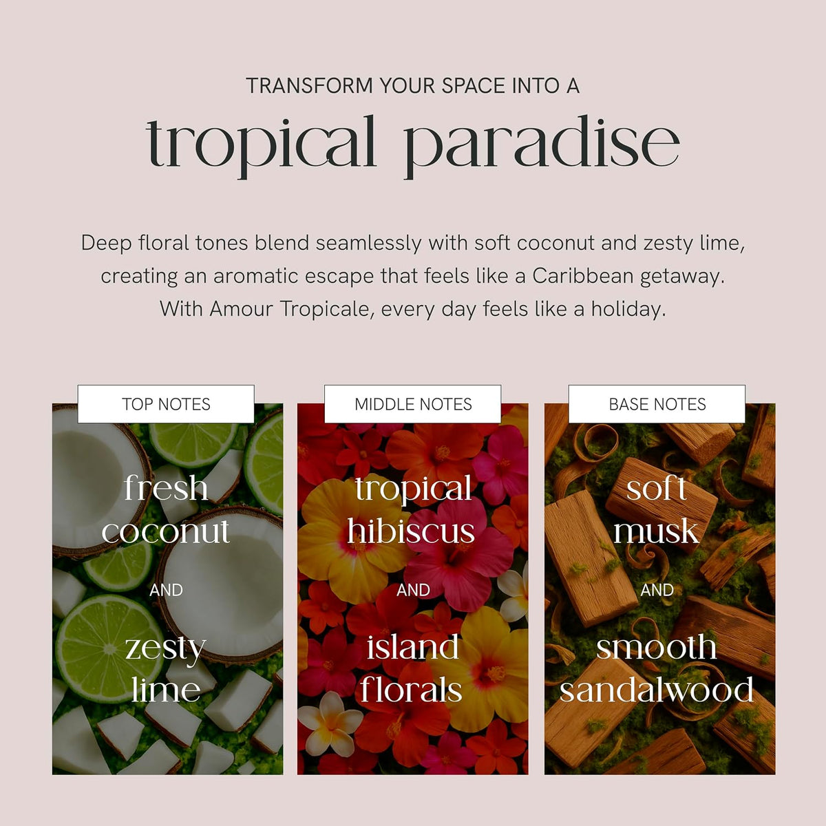 Amour Tropicale Candle, Hand-Poured Soy & Coconut Wax Blend, Tropical Aroma with Hibiscus, Coconut, Lime & Island Floral Notes, 40 Hr Even Burn Candles for Home Scented Collection, 8 oz Jar